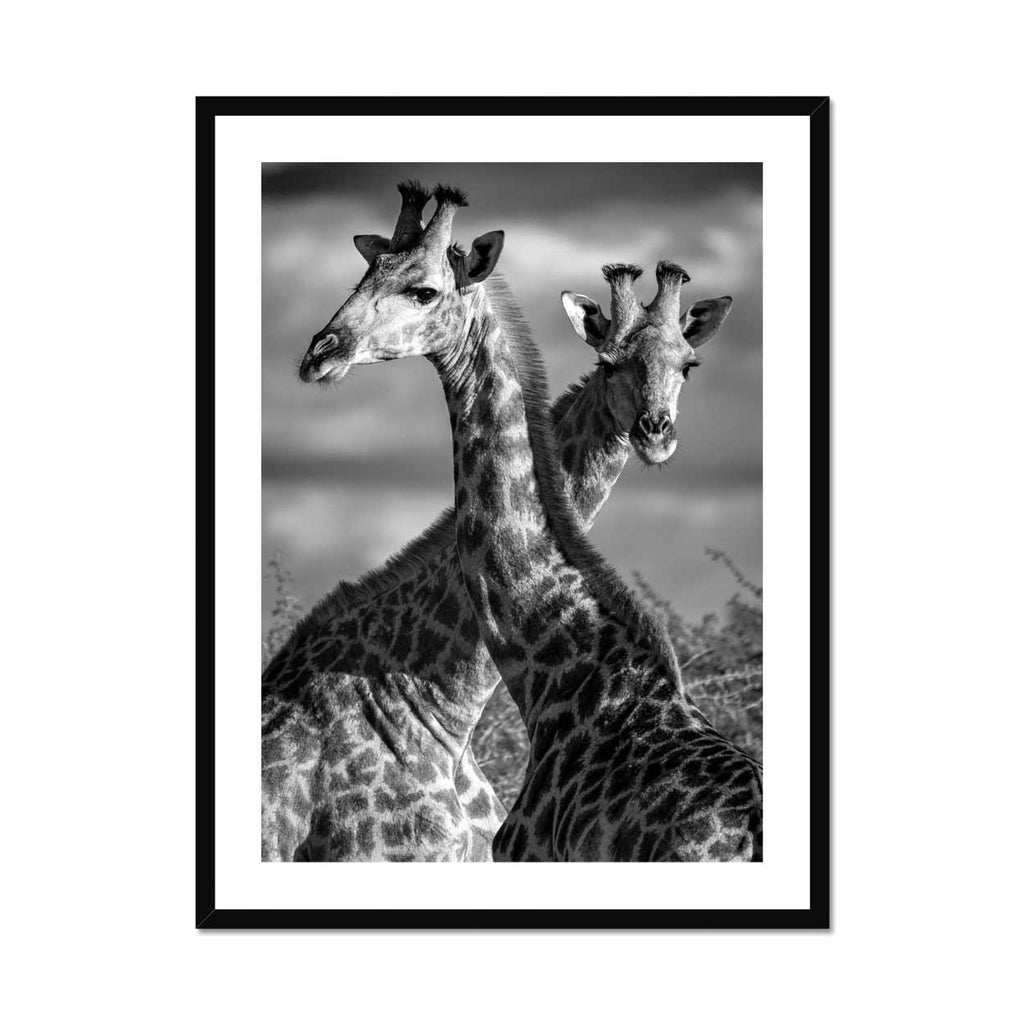 Entwined Towers - Katrina Razon