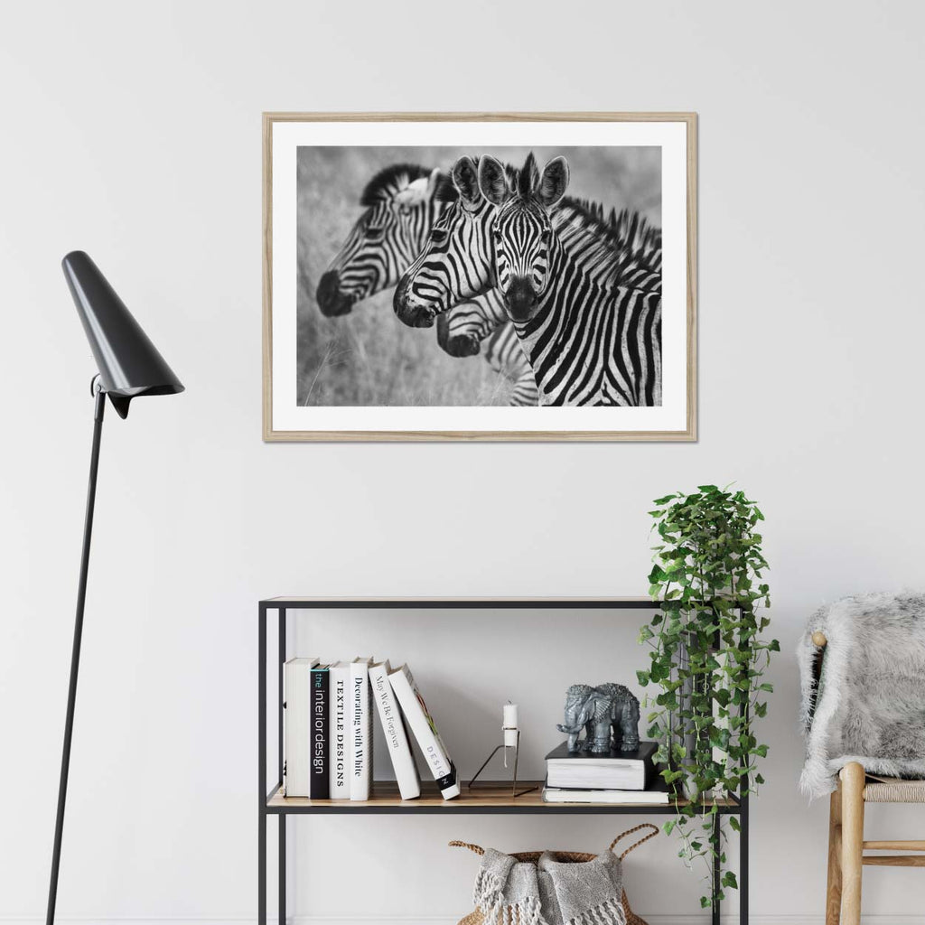 Seeing Stripes - Katrina Razon