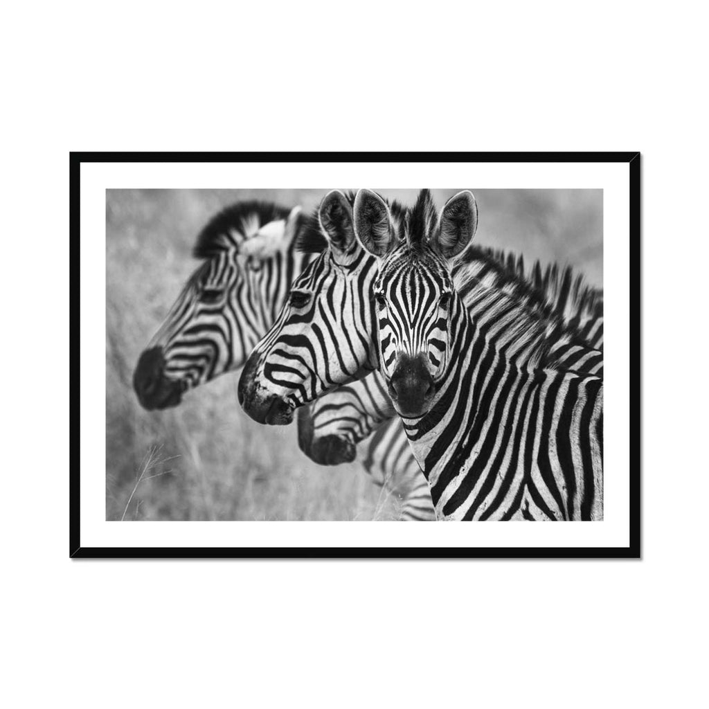 Seeing Stripes - Katrina Razon