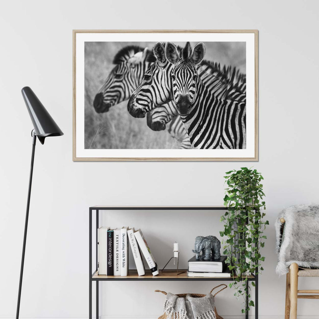 Seeing Stripes - Katrina Razon