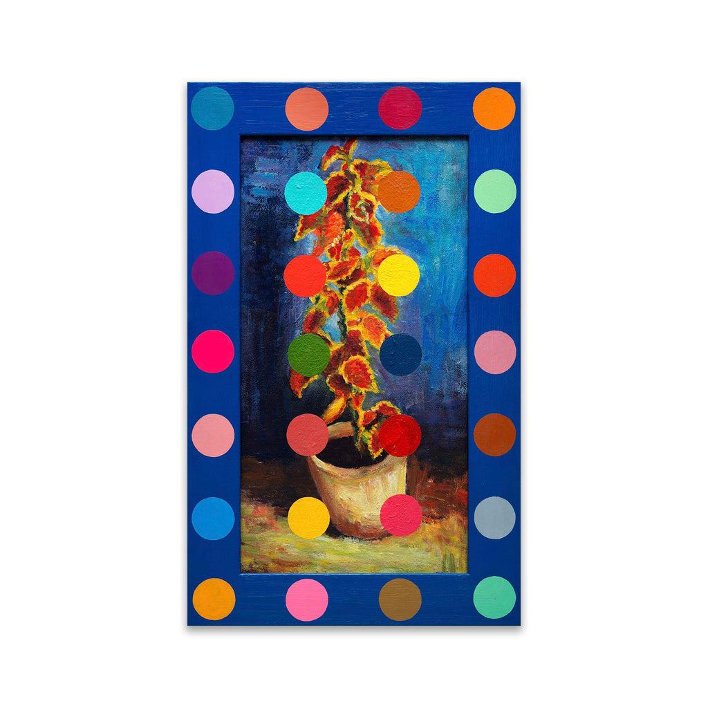 Spot Coleus - Oleksandr Balbyshev Oleksandr Balbyshev