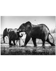 Elephants Crossing - Sean Lee-Davies Sean Lee Davies