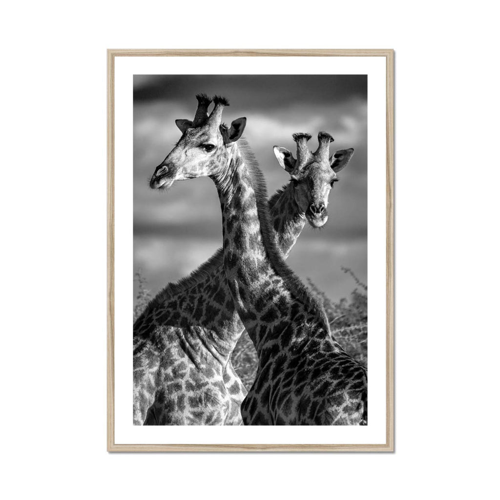 Entwined Towers - Katrina Razon