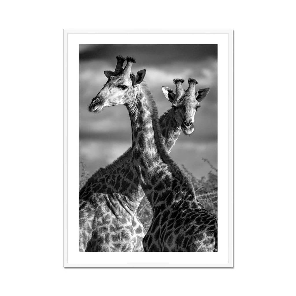 Entwined Towers - Katrina Razon