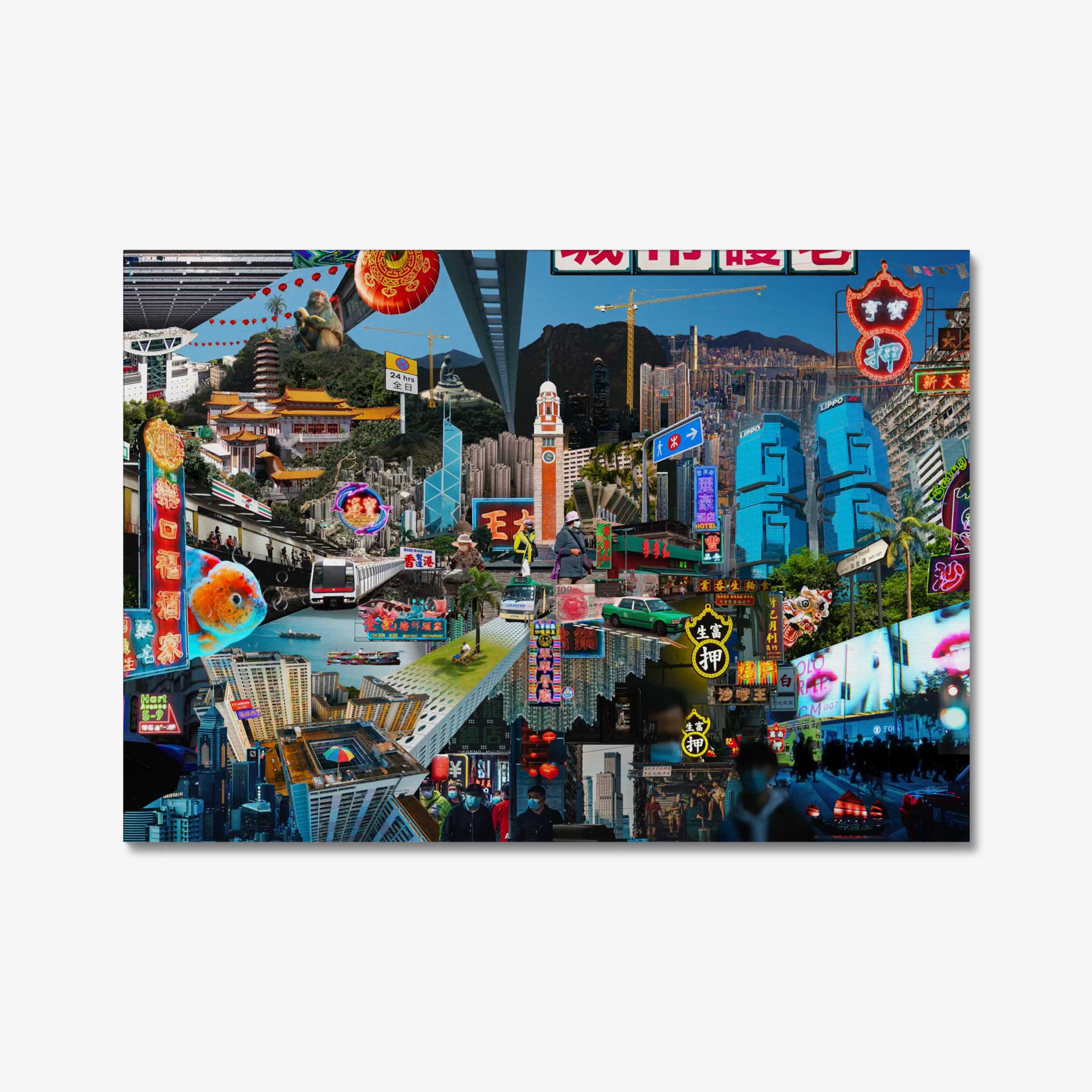 Concrete Jungle  - Derry Ainsworth