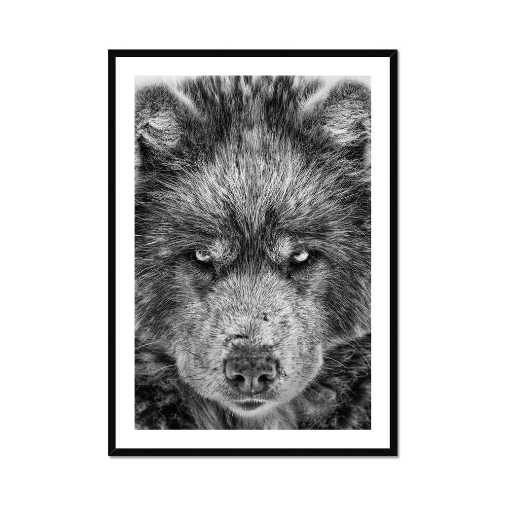 Dire Wolf - Noel Guevara Noel Guevara