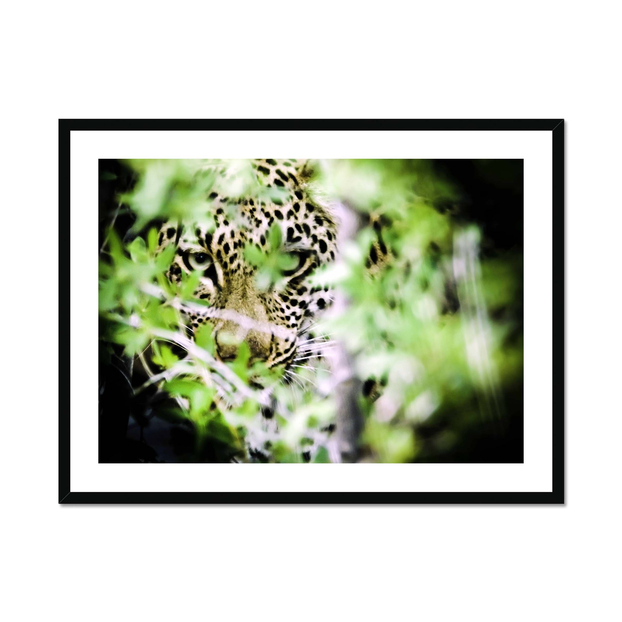 Behind the Bushes - Sean Lee-Davies Sean Lee Davies